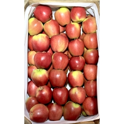 Jabłko Ligol ~ 2kg