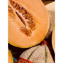 Melon Pasiak ~1kg